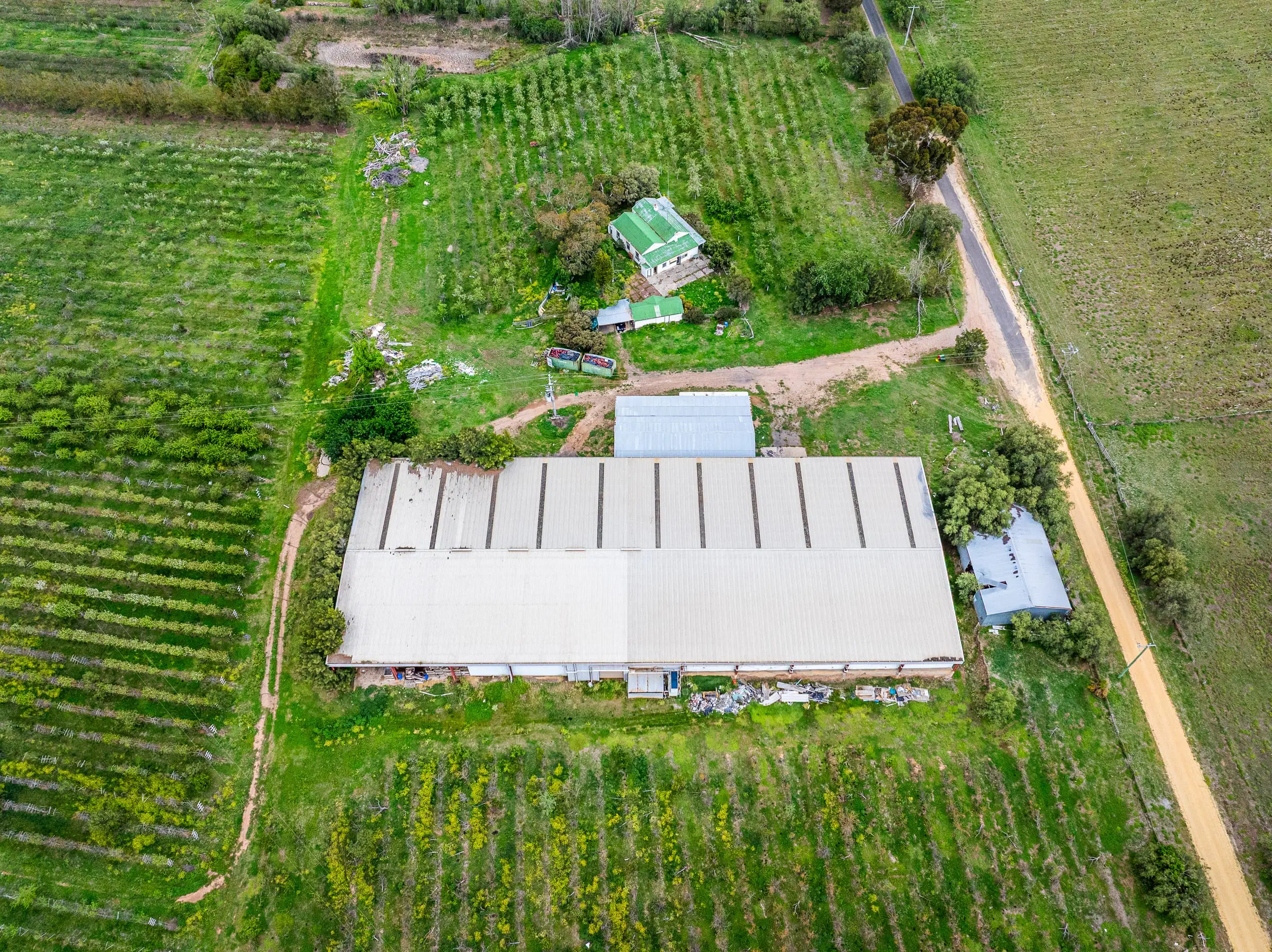 Overhead drone view of an orchard property, packing shed, cottage and rows of trees